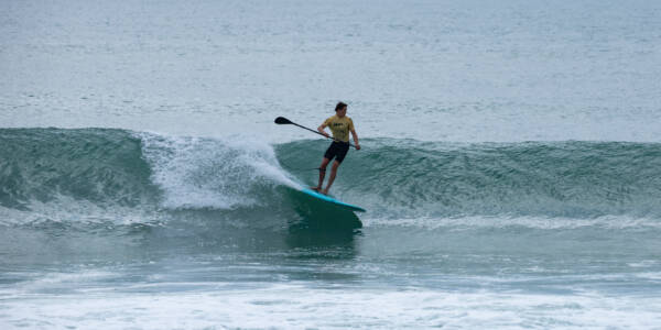 Adaptive Sup Surfdm 2025 Veronika Zueva 19092591