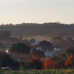 20241127 080817 Kopie