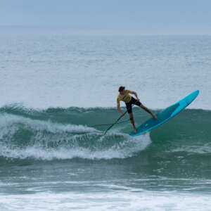 Adaptive Sup Surfdm 2025 Veronika Zueva 19092592