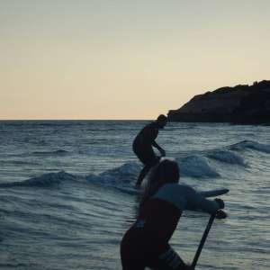elpalmar12015