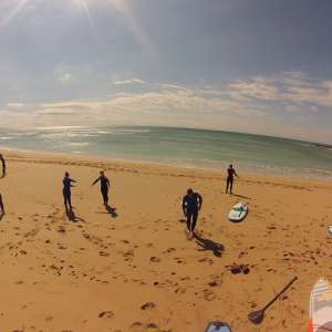 elpalmar2015 10
