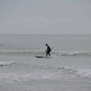 elpalmar2015 3
