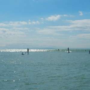 elpalmar2015 4