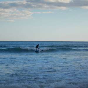 elpalmar2015 5