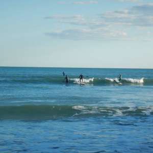 elpalmar2015 6
