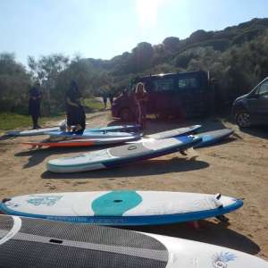 elpalmar2015 9