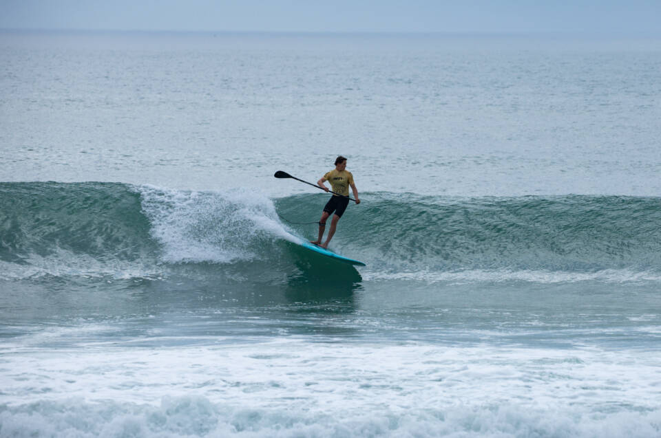 Adaptive Sup Surfdm 2025 Veronika Zueva 19092591