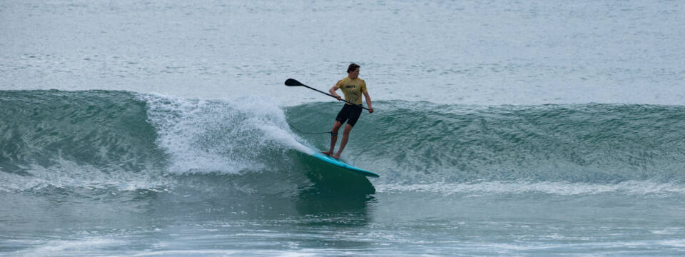 Adaptive Sup Surfdm 2025 Veronika Zueva 19092591